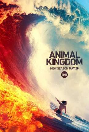 Animal Kingdom - 4ª Temporada Legendada Download